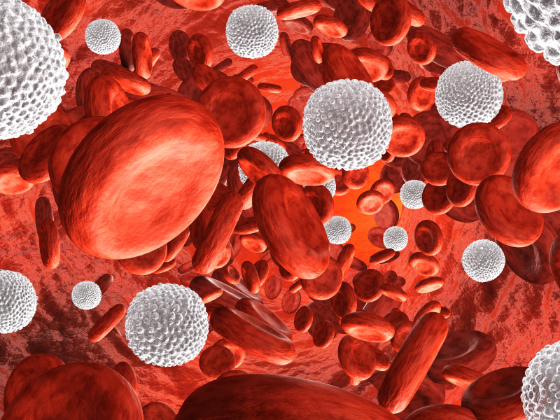  Bạch huyết cầu Mono giúp khởi động lại quá trình sản sinh ra kháng thể