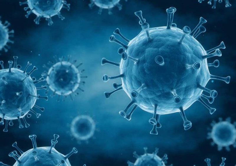 Virus HIV gây ra các vấn đề về suy giảm miễn dịch ở người bệnh