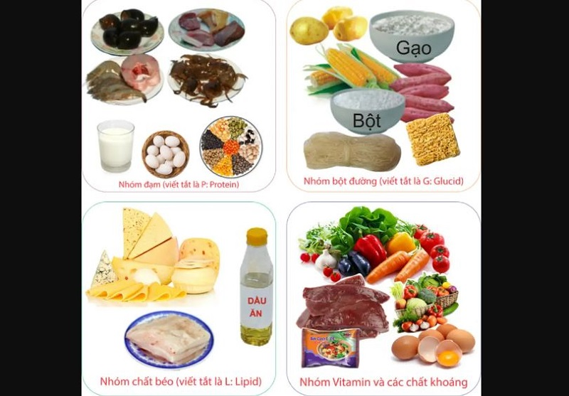 Chế độ ăn khoa học cần đảm bảo cân bằng và đa dạng thực phẩm của cả 4 nhóm dinh dưỡng