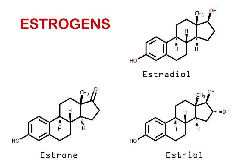 Mất cân bằng nội tiết tố  Estrogen làm tăng cơ hội tích tụ mỡ thừa vùng bụng