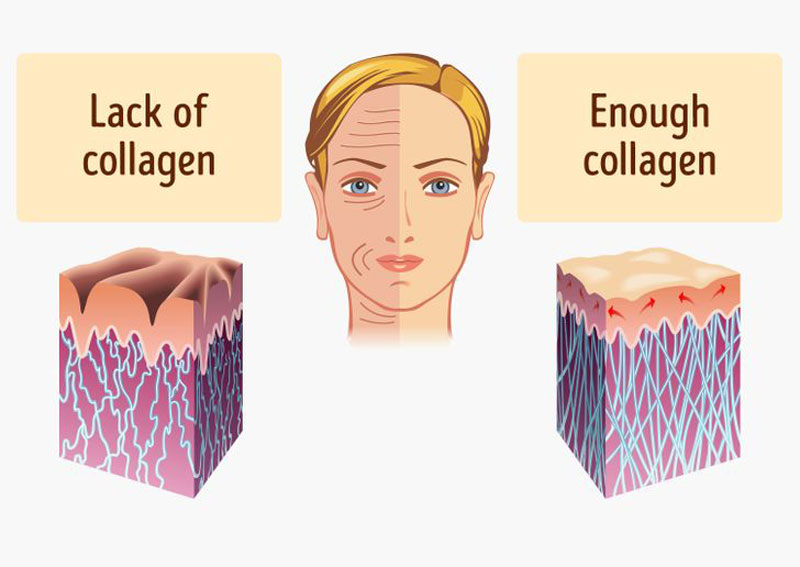 Làn da chắc khỏe, sáng mịn hơn nhờ collagen