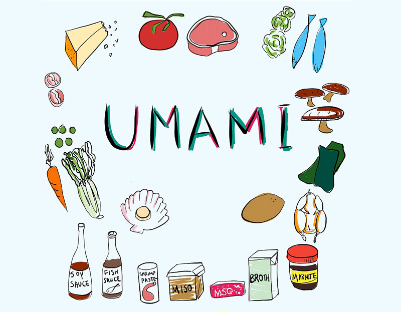 Hương vị Umami từ MSG giúp hạn chế cơn thèm ăn