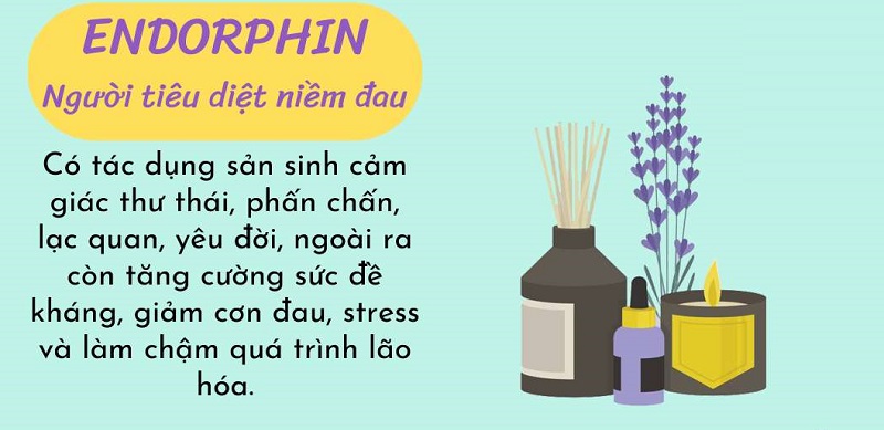 Một số công dụng của Endorphin