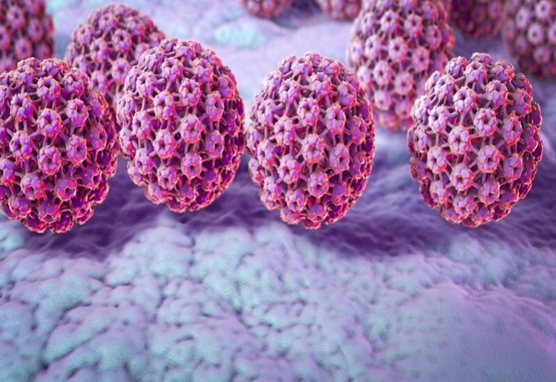 Nhiễm virus HPV có thể khiến rủi ro bị ung thư hậu môn tăng lên