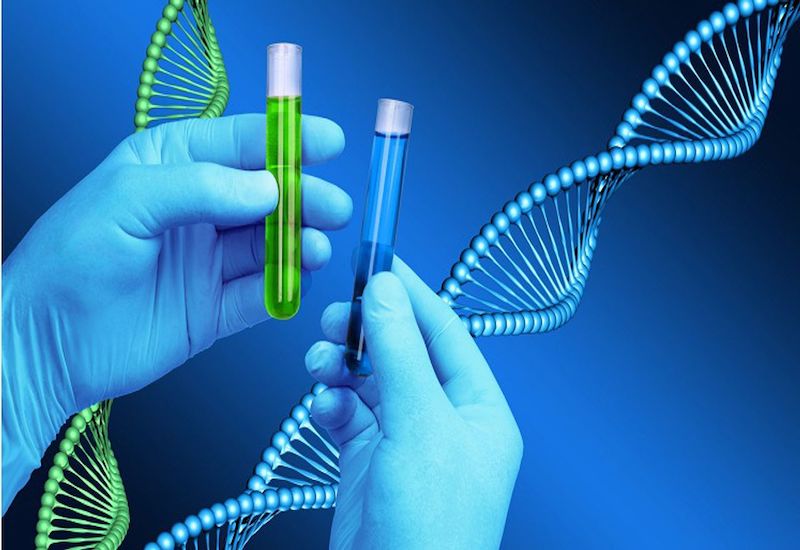 Xét nghiệm PCR còn được dùng để thiết lập bản đồ gen, giải mã trình tự DNA và dòng hóa gen
