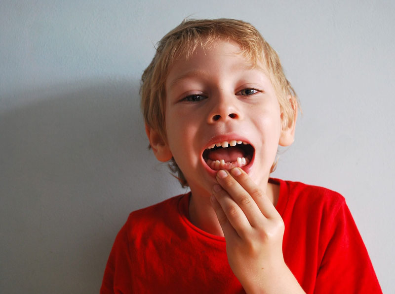 Quá trình răng phát triển gồm có hai giai đoạn chính