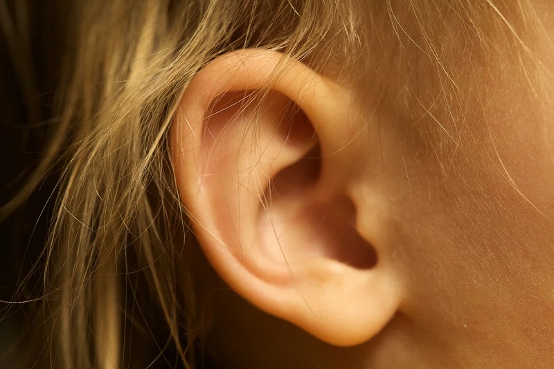 Cùng với thu truyền âm thanh, tai còn giúp giữ thăng bằng