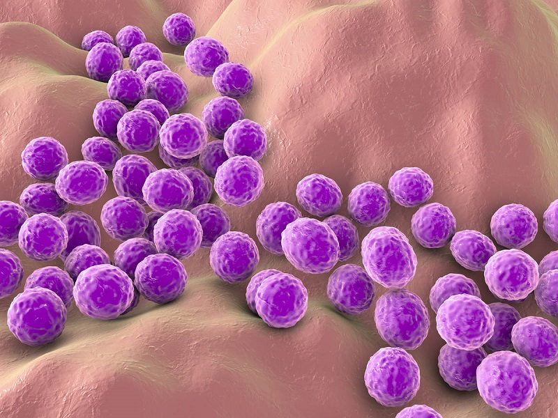 Staphylococcus aureus là tác nhân chính gây ra mụn đầu đinh