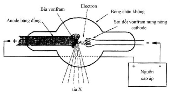 Minh họa cấu tạo của bóng phát tia X