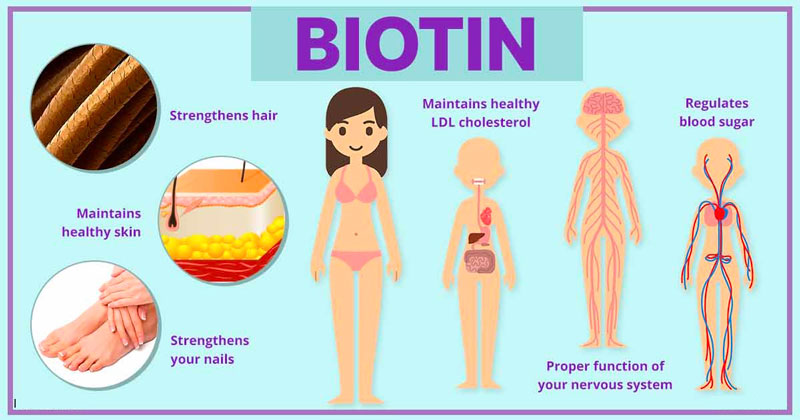Những lợi ích đặc biệt biotin mang lại cho sức khỏe