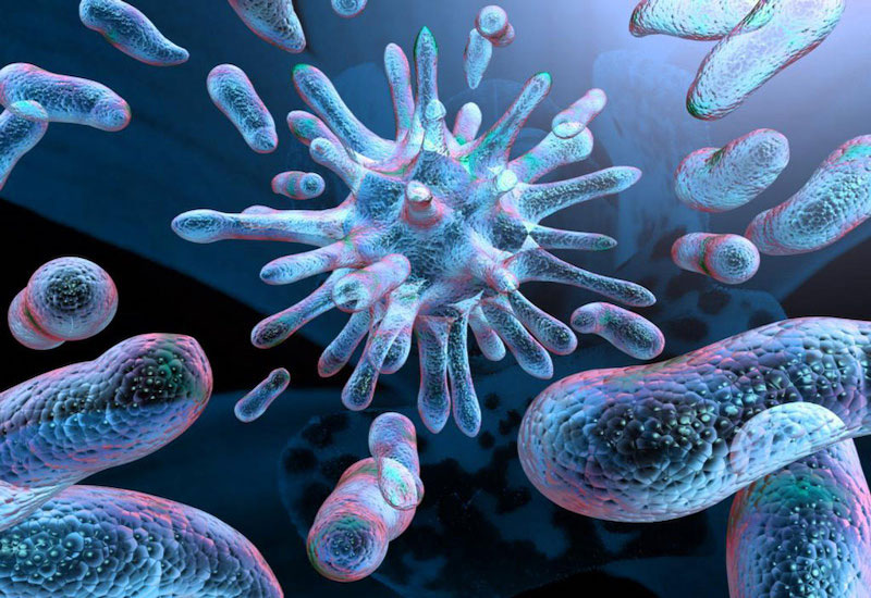  Virus, vi khuẩn là nguyên nhân điển hình gây nên hội chứng nhiễm trùng hô hấp dưới