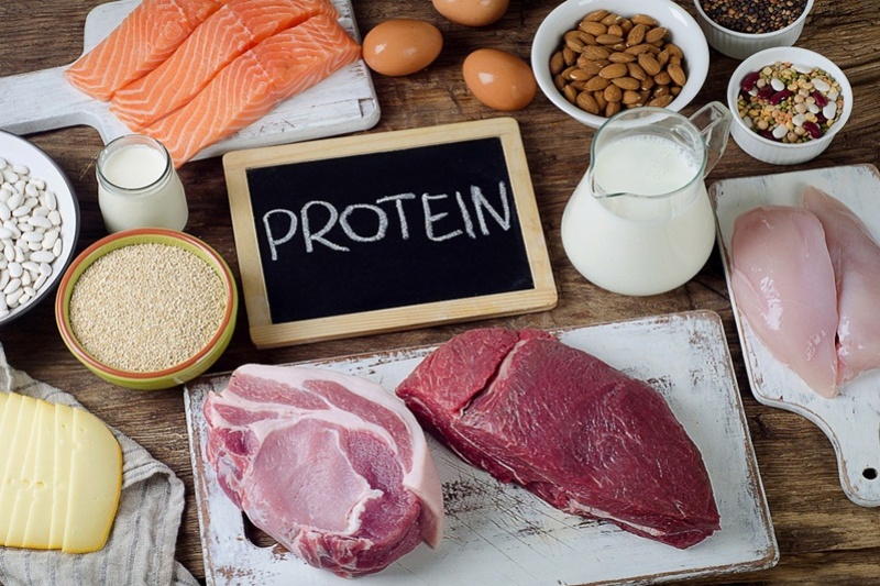 Người bệnh ung thư nên bổ sung thực phẩm giàu protein vào khẩu phần ăn