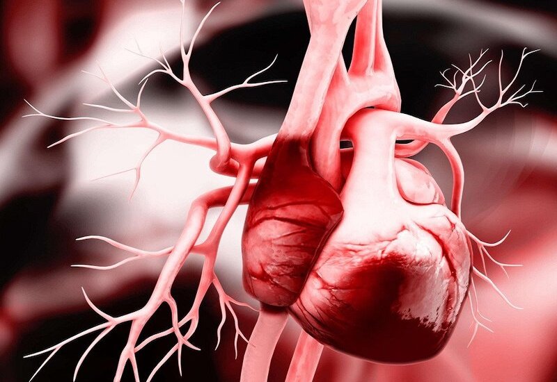 Các bệnh lý ở tim là nguyên nhân phổ biến gây phù phổi cấp