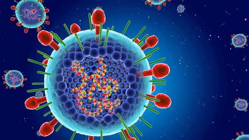 Đông - xuân, xuân - hè là các thời điểm Virus hợp bào hô hấp (RSV) thường hoạt động mạnh