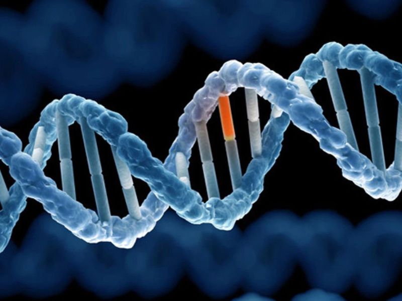 Khái niệm về đột biến gen trong sinh học