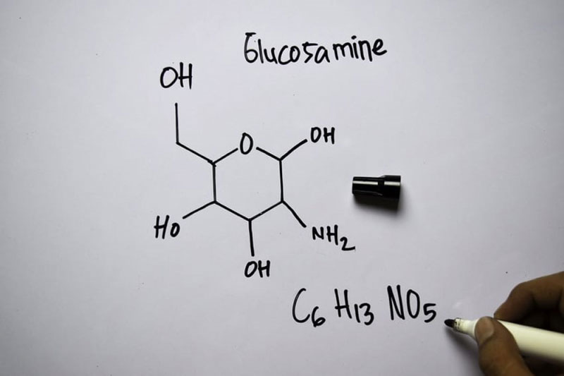 Glucosamine thường có trong bảng thành phần của thực phẩm chức năng dành cho xương khớp