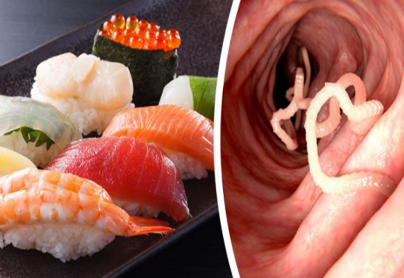 Sushi không được chế biến đúng cách có thể gây nhiễm ký sinh trùng