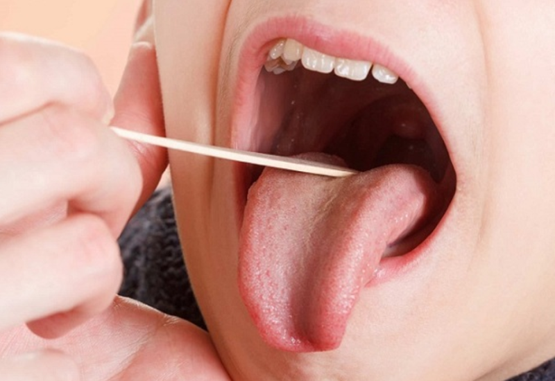 chức năng của lưỡi