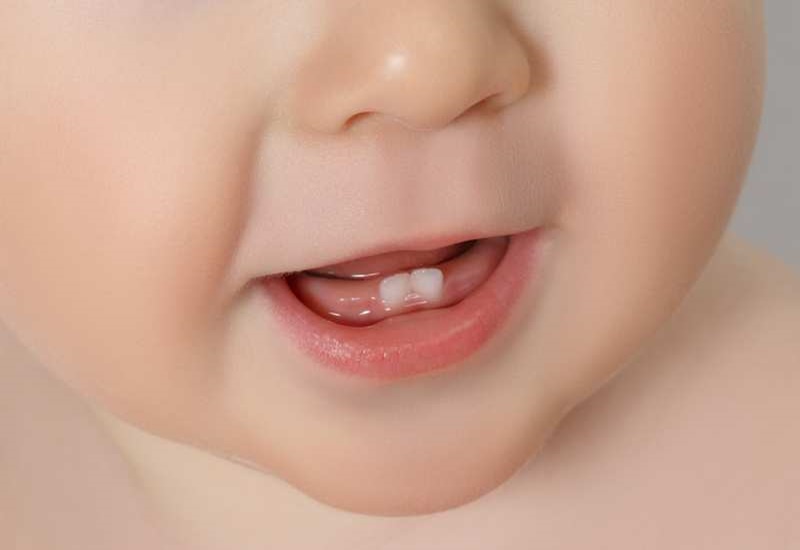 2 chiếc răng cửa hàm dưới thường mọc sớm nhất
