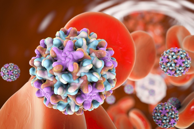 Định lượng anti HBs cho biết khả năng của cơ thể chống lại virus gây bệnh
