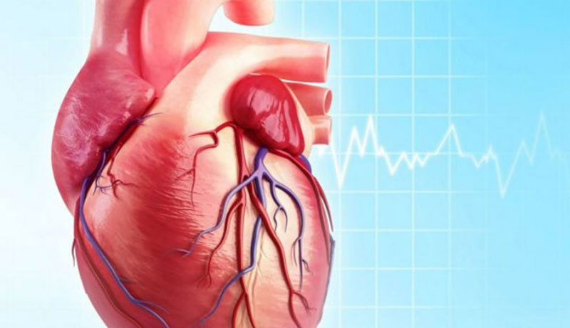Chúng ta nên thận trọng với những đặc điểm bất thường của động mạch