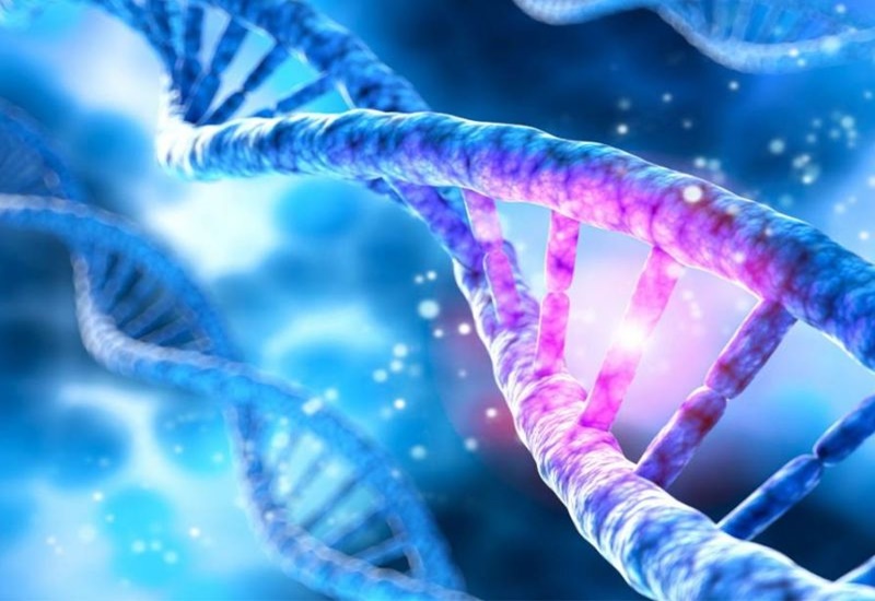 Có gen đột biến chưa chắc chắn sẽ phát sinh bệnh ung thư