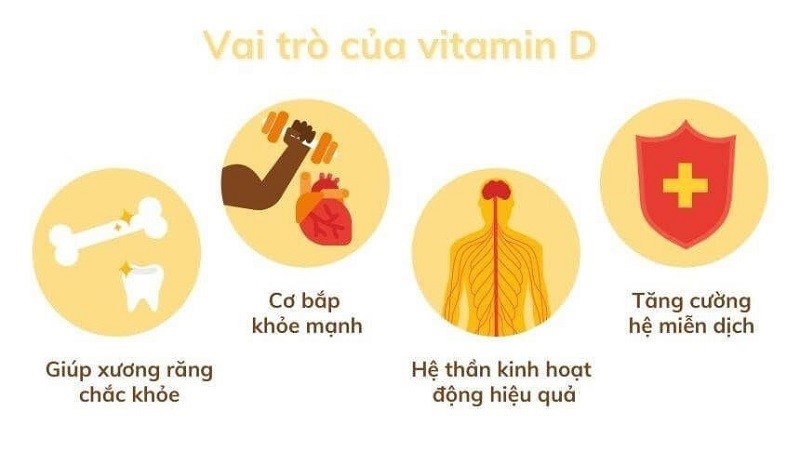 Những công dụng chính của vitamin D
