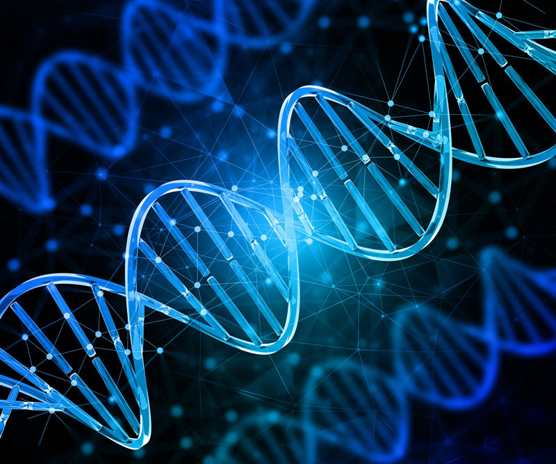 Xét nghiệm đa gen giúp xác định cùng lúc nhiều gen đột biến