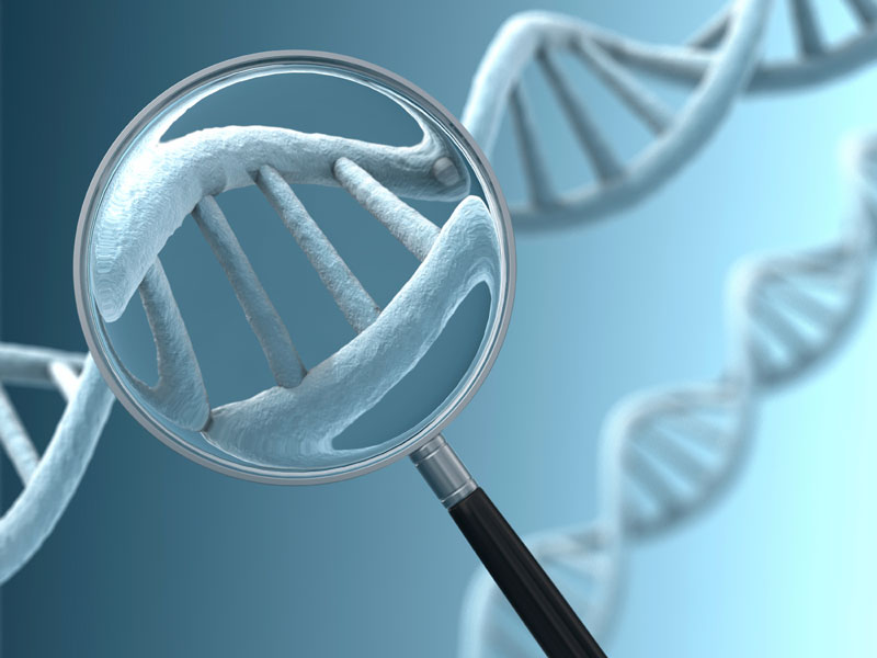 Xét nghiệm gen giúp xác định nguy cơ mắc bệnh di truyền ở một người