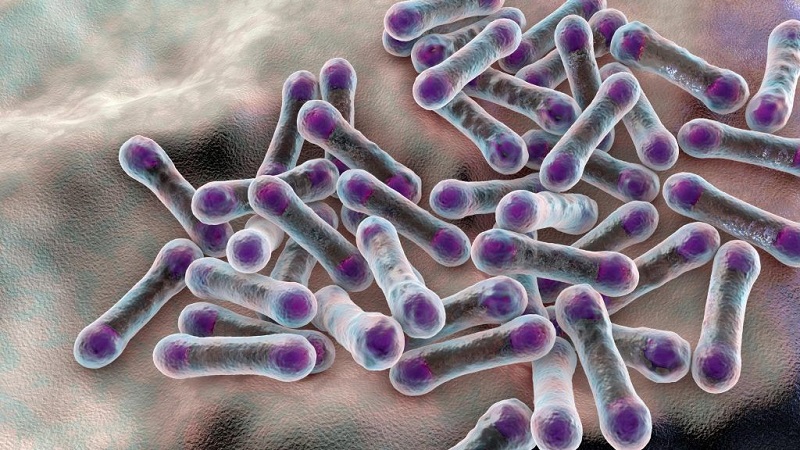 Khi xâm nhập vào máu, vi khuẩn có thể khiến nhiễm độc toàn thân, uy hiếp tới tính mạng