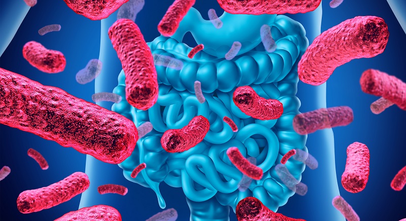 Dùng kháng sinh kéo dài có thể làm ức chế hoạt động hệ vi khuẩn có lợi trong ruột