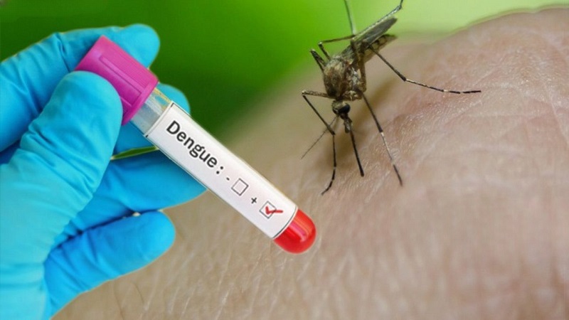 Xét nghiệm kháng nguyên Dengue NS1 được thực hiện  khoảng từ 1 - 3 ngày đầu