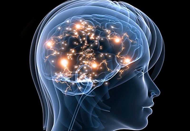 Bộ não giúp con người có thể ghi nhớ được nhiều thông tin