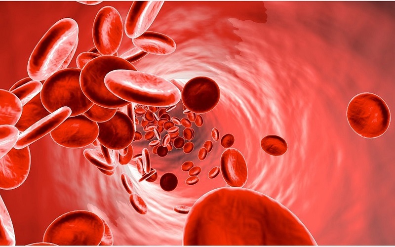 Khi lượng sắt không đủ để tổng hợp hồng cầu khỏe mạnh sẽ gây ra thiếu máu