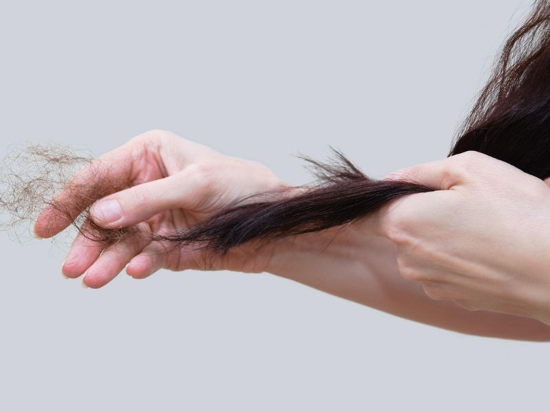Thói quen chăm sóc da đầu tác động đến quá trình mọc và rụng tóc