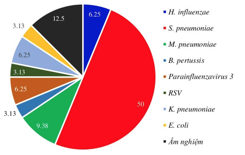 Phân bố căn nguyên gây viêm phổi không đáp ứng điều trị kháng sinh kinh nghiệm bước đầu trên bệnh Nhi (2015)