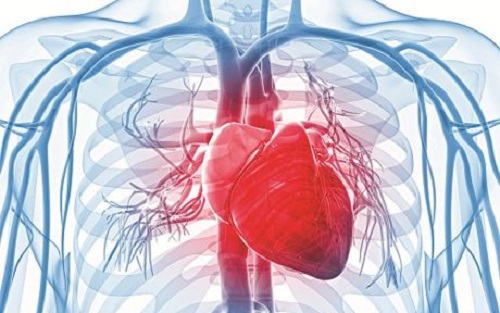 Trong lúc siêu âm tim, người bệnh có thể gặp phải một vài tác dụng phụ như cảm thấy khó chịu, cổ họng đau trong vài giờ