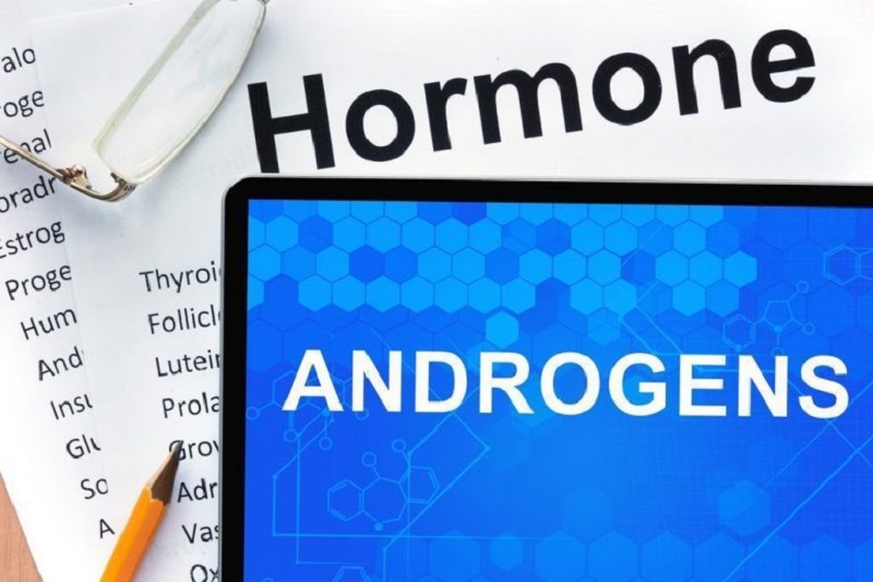 Androgen thường được gọi là nội tiết tố nam