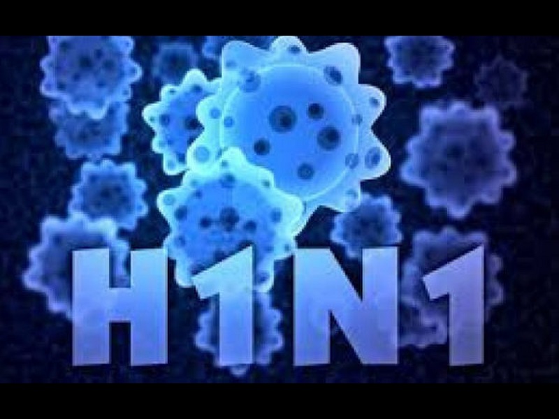 Dịch cúm lợn H1N1 đã xảy ra năm 2009