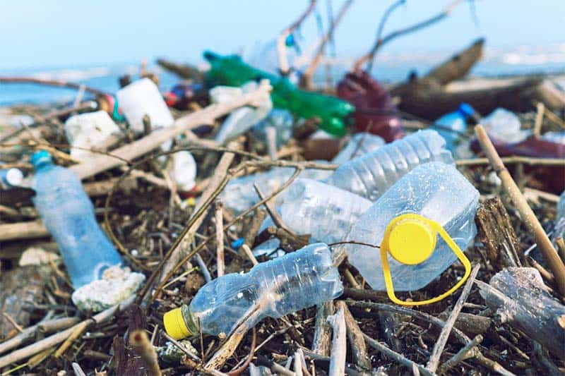 Rác thải nhựa đang là vấn nạn với môi trường sống 