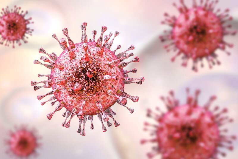  CMV là một loại virus có thể gây viêm gan
