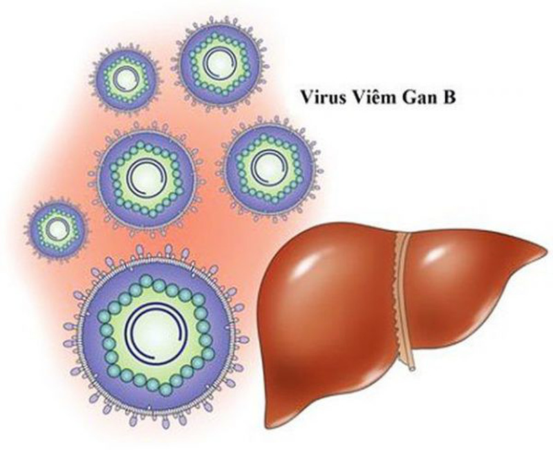 Viêm gan B gây ra nhiều tổn hại cho sức khỏe