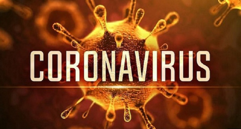Hình dạng bên ngoài của Coronavirus