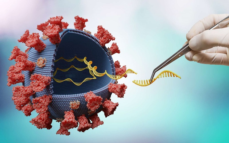 Xét nghiệm Real-time PCR tìm cách nhân bản những đoạn RNA đặc hiệu của SARS-CoV-2 có trong bệnh phẩm.