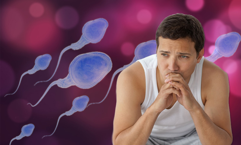 Chất lượng của tinh trùng ảnh hưởng rất lớn tới quá trình thụ thai