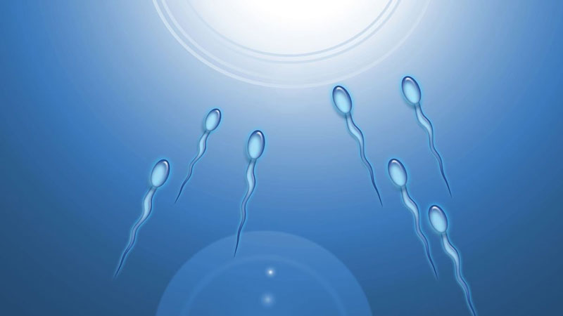 Tinh trùng được chọn lọc bơm vào tử cung sẽ là những tinh trùng khoẻ mạnh