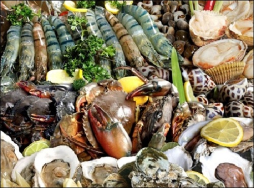 Gan nhiễm mỡ có nên ăn hải sản không tùy thuộc vào tình trạng cơ thể mỗi người