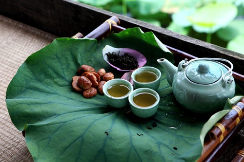 Trà lá sen cần cho vào danh sách ưu tiên gan nhiễm mỡ nên uống trà gì