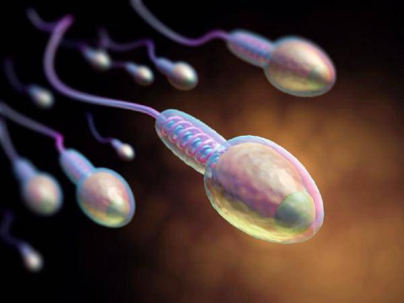 Tinh trùng yếu là một trong những nguyên nhân chính gây hiếm muộn vô sinh nam