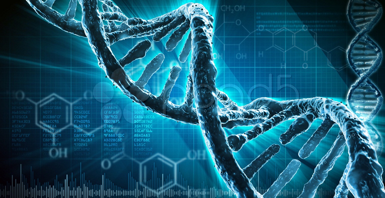 Sợi của ADN chứa các thông tin di truyền